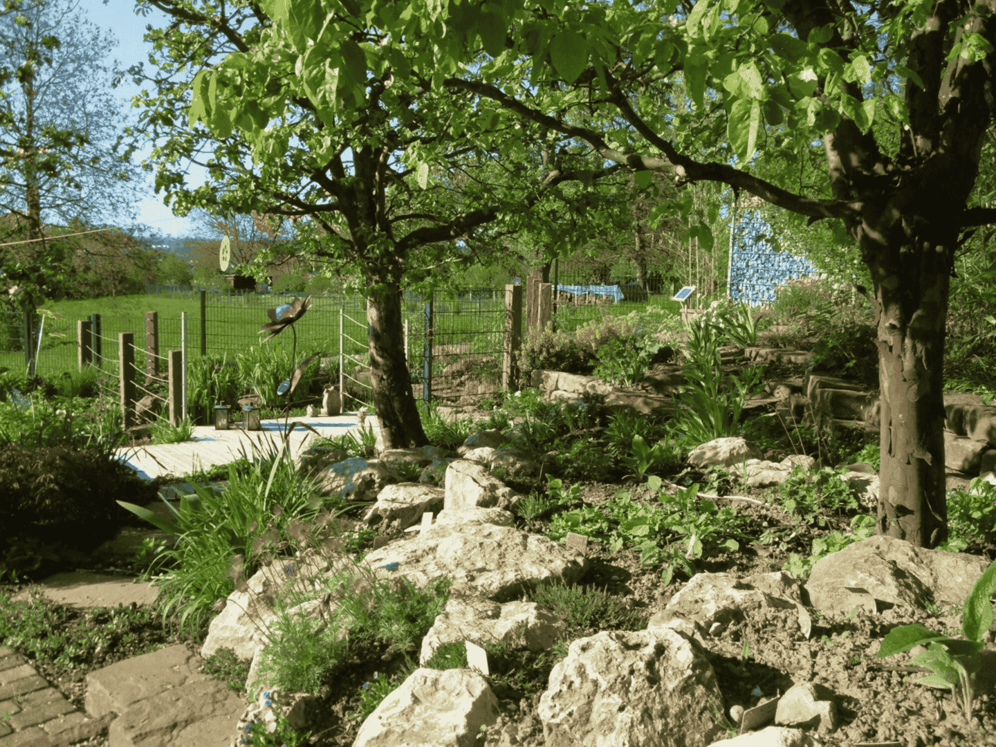 grüner Garten mit zwei Bäumen